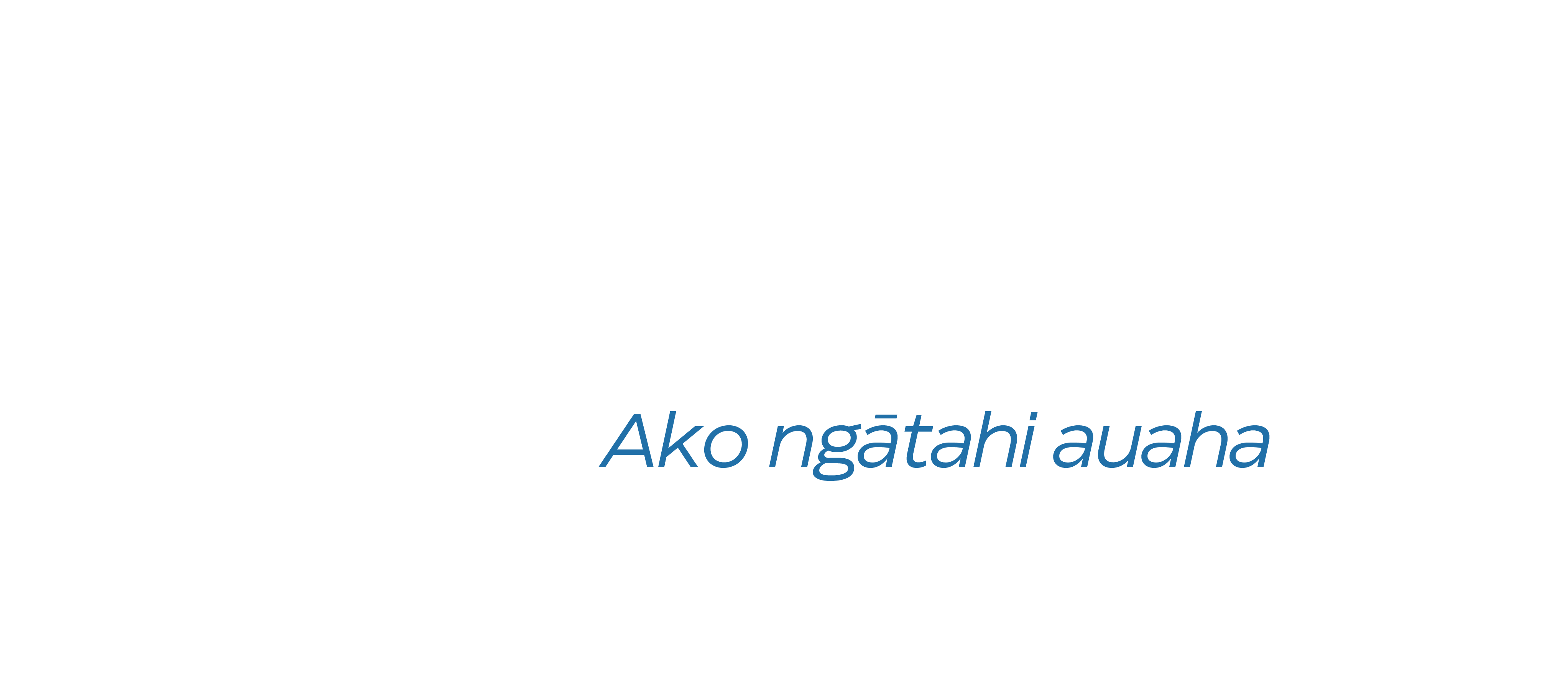 NetNZ
